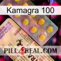 Kamagra 100 new06